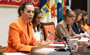 J�ssica de Le�n advierte en el Parlamento que los planes de empleo para Canarias siguen pendientes