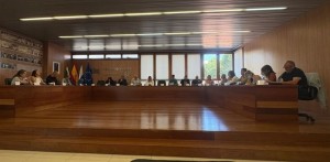 Ingenio acoge la 27 edicin del Encuentro de Bibliotecas Municipales de Gran Canaria