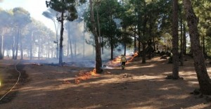 El Cabildo reanuda las quemas controladas para mejorar la gestin forestal y prevenir incendios