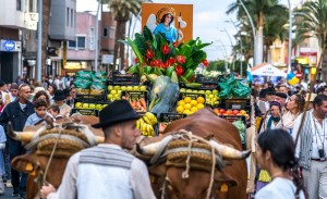 Santa Luca abre el plazo de inscripcin de carretas y grupos folklricos de la Romera de San Rafael
