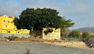 La Casa del Mato  de El Tablero pasa a ser patrimonio municipal tras tres dcadas de gestiones