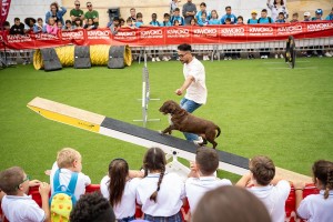 Animundo fomenta la educacin en el cuidado animal entre ms de mil escolares