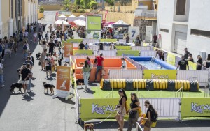 Animundo acoge cerca de 6.000 visitantes comprometidos con el cuidado y el bienestar animal