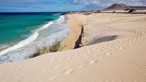 La AMTC presentan al Gobierno Canario sus propuestas para la nueva Ley de Turismo