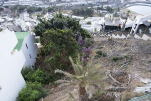 Mogn acondiciona y retira maleza de una ladera inaccesible en  Puerto Rico  