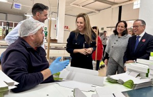 El SCE impulsa los PFAE para mejorar la empleabilidad y la insercin laboral en Canarias