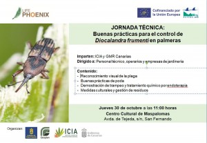 LIFE Phoenix imparte formacin para el control de Diocalandra en palmeras en Maspalomas