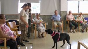 Mogn incorpora terapias con perros en el Centro para la Autonoma Personal y el Centro Ocupacional