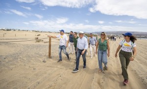 Gran Canaria licita la regulacin de accesos y trnsito en la Reserva de las Dunas de Maspalomas