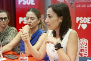 El PSOE exige a Clavijo medidas urgentes ante el aumento de la violencia de gnero en Canarias