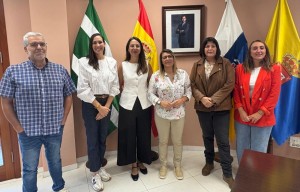 Ingenio y Cruz Roja promueven el envejecimiento activo 