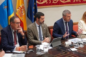 Economa presenta unos presupuestos centrados en el apoyo a los autnomos y al talento canario