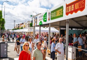 XXII Feria del Sureste: tradicin, sabor y talento local en Carrizal