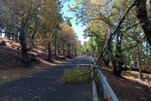 El Cabildo activa a un centenar de operarios para atender incidencias en las carreteras insulares