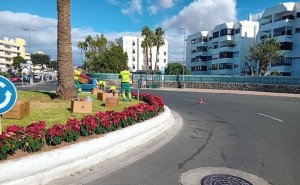 La Navidad empieza a tomar forma en San Bartolom� de Tirajana