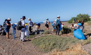 Limpieza lleva al Pleno SBT un convenio con Foresta para la recuperacin de espacios naturales