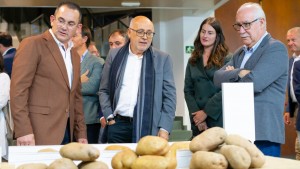 El Cabildo destina 350.000 euros para combatir la plaga de la polilla guatemalteca de la papa