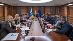 El Gobierno da luz verde al nuevo decreto canario de prevencin y extincin de incendios forestales