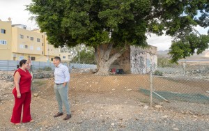 Urbanismo rehabilitar la Casa del Mato con 188.000 sin coste para la ciudadana