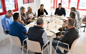 El Consejo Sectorial de Playas de SBT avala la gesti�n indirecta del servicio de hamacas y sombrillas 