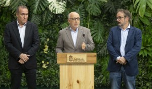 El Cabildo solicita al Estado un sistema el�ctrico que no frene el desarrollo renovable de la isla