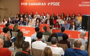 El PSOE registra una propuesta alternativa al denominado �decreto Clavijo�