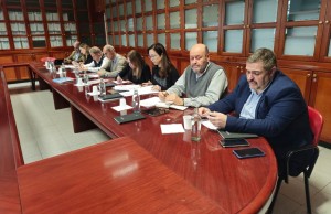 Canarias impulsa la Mesa T�cnica de Empleadas de Hogar para analizar la situaci�n del sector