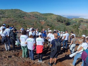 Foresta y Binter impulsan la recuperaci�n forestal tras los incendios en Canarias