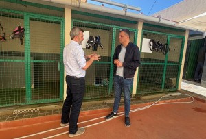 Ingenio encarga a GESPLAN la gesti�n del CETA y las colonias felinas