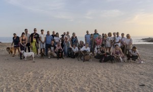 Mog�n habilita cinco playas  para mascotas 