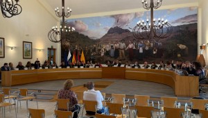 Santa Luc�a de Tirajana insta al Cabildo a la colocaci�n de se�ales de tr�fico que adviertan del tr�nsito de ciclistas en la GC-65