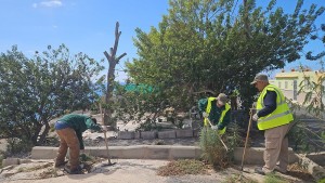 SBT retira 23 toneladas de restos vegetales gracias al acuerdo entre Limpieza y Foresta