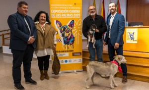 Vecindario acoge las exposiciones caninas nacional e internacional con m�s de 700 perros inscritos