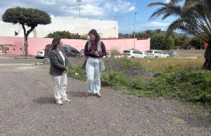 Ingenio crea nuevos espacios de aparcamiento en distintos puntos del municipio