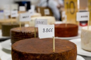 Canarias compite con cinco quesos por el t�tulo nacional en Gourmets 2026