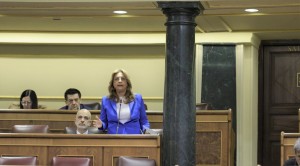 Valido exige al ministro Puente imponer el servicio p�blico en los aeropuertos canarios frente a los intereses privados de Aena