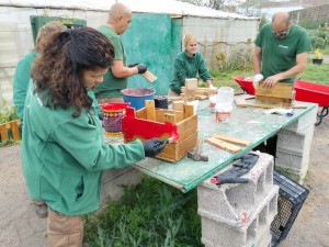 El Cabildo forma en jardiner�a a nueve personas en el programa Fomento del Empleo 2025