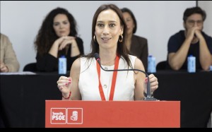 El PSOE Canarias acusa a CC de usar la confrontaci�n para tapar su falta de gesti�n