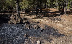 Canarias lanza una campa�a para prevenir incendios forestales causados por imprudencias