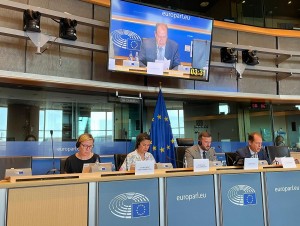 Canarias reclama en Europa pol�ticas tur�sticas que mejoren la calidad de vida de los residentes