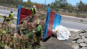 San Bartolom� de Tirajana y Foresta finalizan la 1� fase del proyecto Emplea Verde SBT 