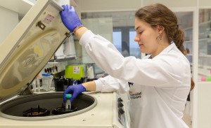 Lopesan impulsa una investigaci�n pionera para personalizar el tratamiento del mieloma m�ltiple