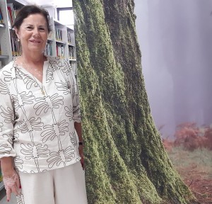 Inmaculada Bautista: 