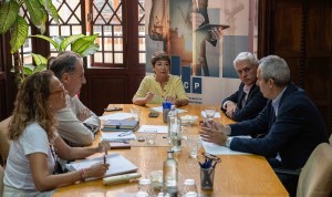 El PP reafirma su apoyo al proyecto del Estadio pero exige al Cabildo agilidad y m�xima transparencia