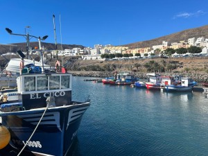 Canarias concede ayudas a las Cofrad�as de Pescadores para sufragar sus gastos 