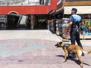 La Polic�a Local de Mog�n detiene en Puerto Rico a un hombre por un presunto delito contra la salud p�blica