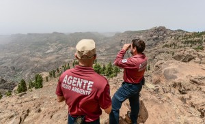 Gran Canaria podr�a alcanzar los 37 grados en un episodio de calor que eleva el riesgo de incendios