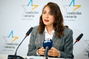 CC Gran Canaria reclama al Cabildo un programa de becas �ambicioso� para ni�os y j�venes