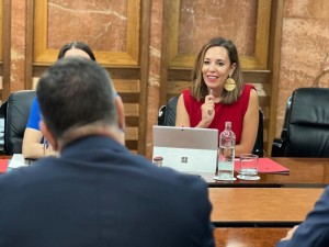 Empleo recibe 32 proyectos para mejorar la inserci�n laboral de colectivos vulnerables