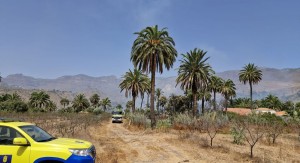 Estabilizado el incendio en Santa Luc�a que ha afectado a 6.700 metros cuadrados y el desalojo de seis viviendas